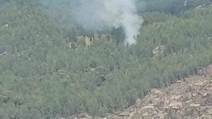 Kavaklıdere’deki orman yangını kontrol altına alındı