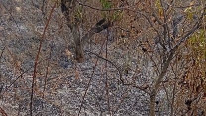 Yaşlı adam, bahçesini temizlerken yangında hayatını kaybetti