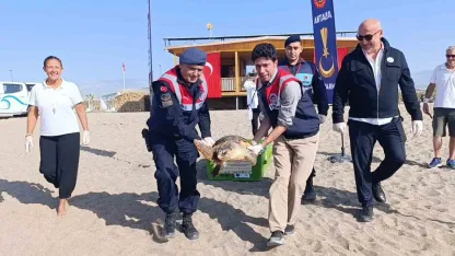 Tedavisi tamamlanan caretta caretta denizin maviliğine kulaç açtı