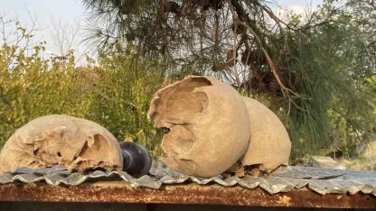 Belediyenin kazı çalışması sırasında insan kemikleri bulundu