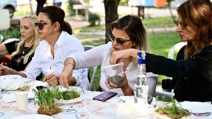 Mikro yeşilliklerle minyatür bahçeler oluşturdular