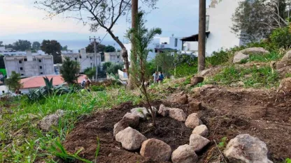 Bodrum Belediyesi çocukları doğayla buluşturdu