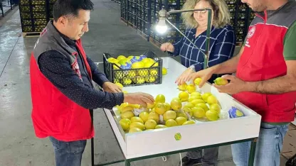 Ortaca’da ihracata giden ürünlere onay