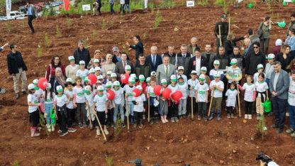 Muğla'da 33 bin fidan toprakla buluştu