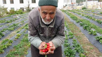 85 yaşındaki İbrahim dede "Hayır Bahçesi"nde yetiştirdiği meyve ve sebzeleri ücretsiz ikram ediyor