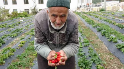85 yaşındaki İbrahim dede "Hayır Bahçesi"nde yetiştirdiği meyve ve sebzeleri ücretsiz ikram ediyor