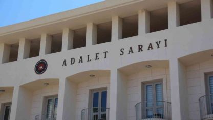 Köpekleri tüfekle vuran şahıs tutuklandı