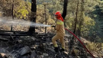 Seydikemer'de orman yangını kontrol altına alındı