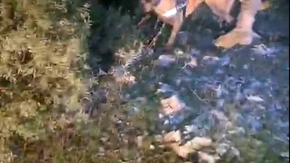 Muğla’da piyasa değeri 4 milyon TL olan uyuşturucu ele geçirildi