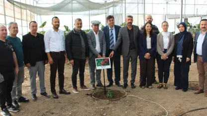 Deneme amaçlı kahve fidanı dikildi