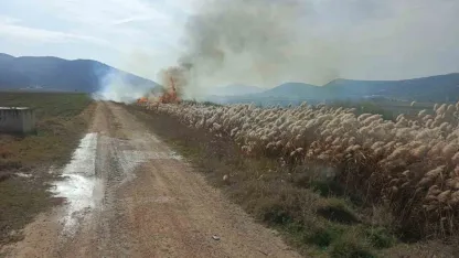 Bucak’ta sazlık alanda yangın