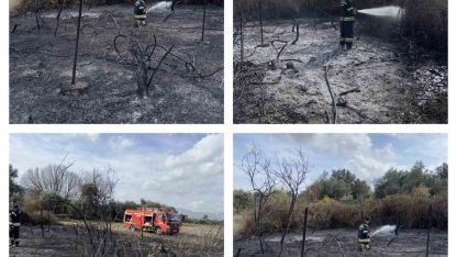 Muğla’da üzüm bağları alevlere teslim oldu