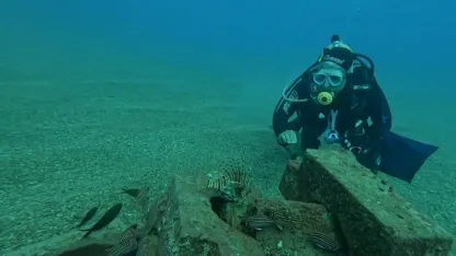 Aslan balıkları ve lagoslar aynı resifte: Deniz altında ilginç gözlem