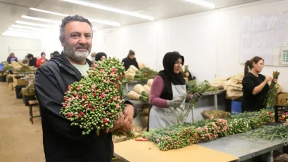 Türk karanfili dünya pazarında: En büyük alıcı hollanda