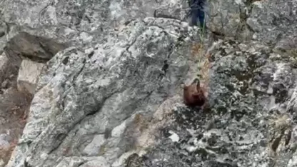 Burdur’da mahsur kalan keçiler ekipler tarafından kurtarıldı