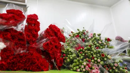 İsmail Yılmaz: “İhracatta yüzde 15 artışla tarihi rekora gidiyoruz”