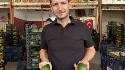 Alanya’da avokado üretimi rekor kırıyor: Hedef 150 milyon adet