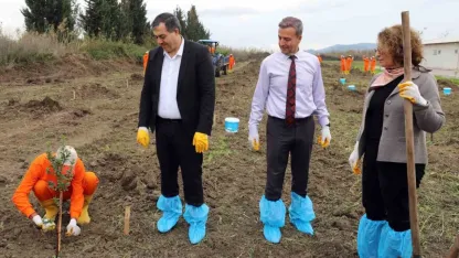 Dalaman Açık Ceza İnfaz Kurumunda 10 dekar alana Sakız ağacı fidanı dikildi