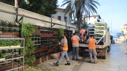 Antalya'da 4 milyon çiçek toprakla buluşuyor