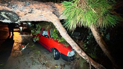 Antalya'da şiddetli yağış ağacı devirdi, 2 araç zarar gördü