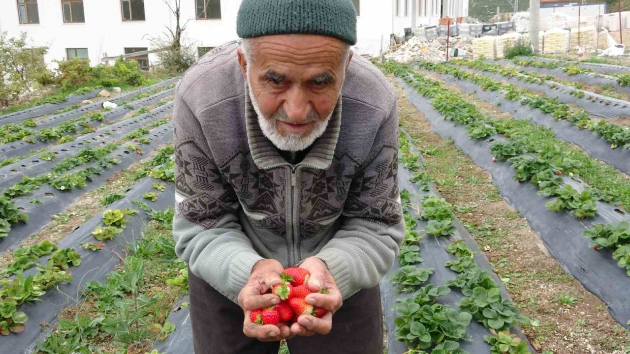 85 yaşındaki İbrahim dede &quot;Hayır Bahçesi&quot;nde yetiştirdiği meyve ve sebzeleri ücretsiz ikram ediyor