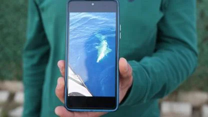 Amatör balıkçılar köpek balığından 1 saat süren mücadeleyle kurtuldu