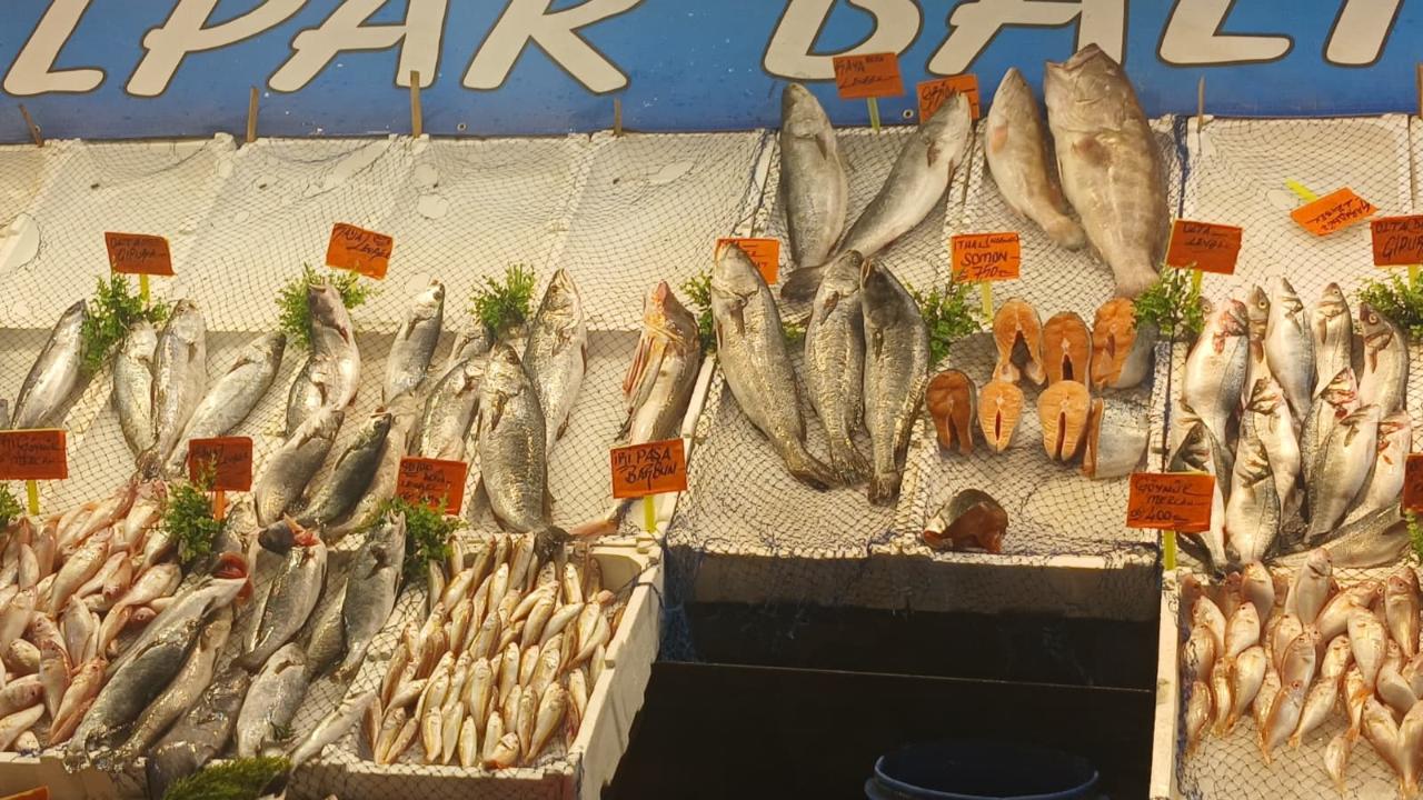 Antalya’da bu hafta balık fiyatları!