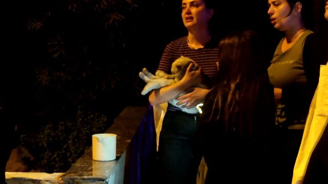 Antalya&#039;da çıkan yangında 2 kedi hayatını kaybetti, sahipleri gözyaşlarına boğuldu