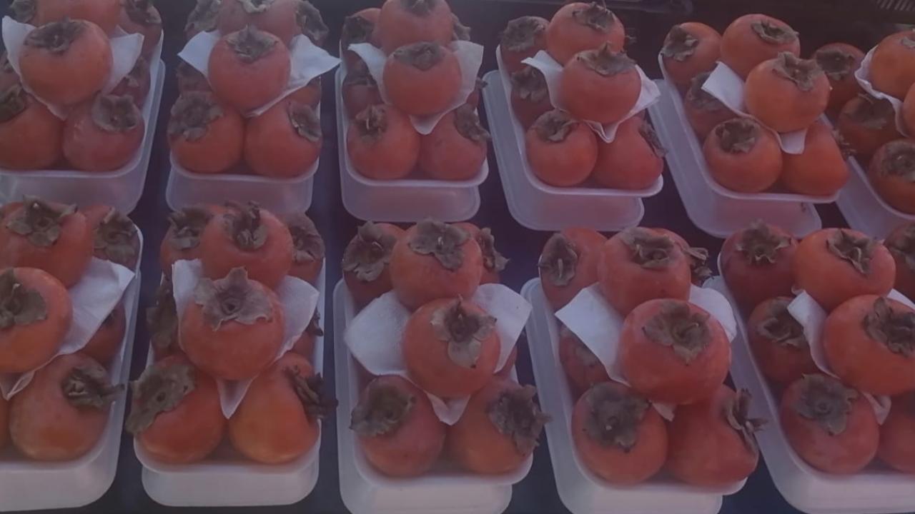 Antalya’da Hurma fiyatı düşüşe geçti