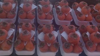 Antalya’da Hurma fiyatı düşüşe geçti