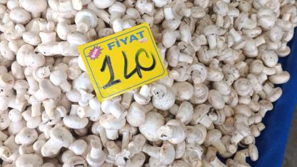 Antalya’da semt pazarlarında mantar bolluğu!