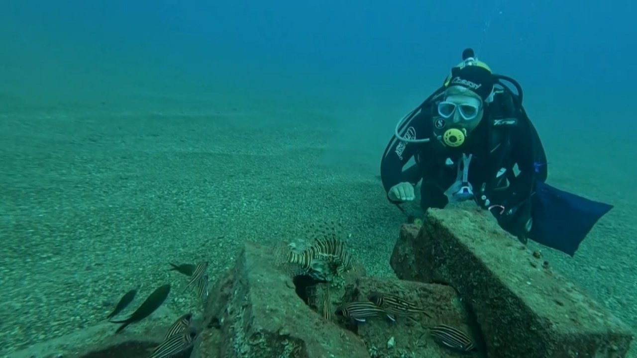 Aslan balıkları ve lagoslar aynı resifte: Deniz altında ilginç gözlem