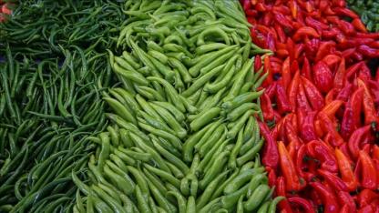 Batı Akdenizli ihracatçılar Polonya'da iş görüşmeleri gerçekleştirdi