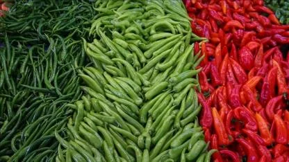 Batı Akdenizli ihracatçılar Polonya'da iş görüşmeleri gerçekleştirdi