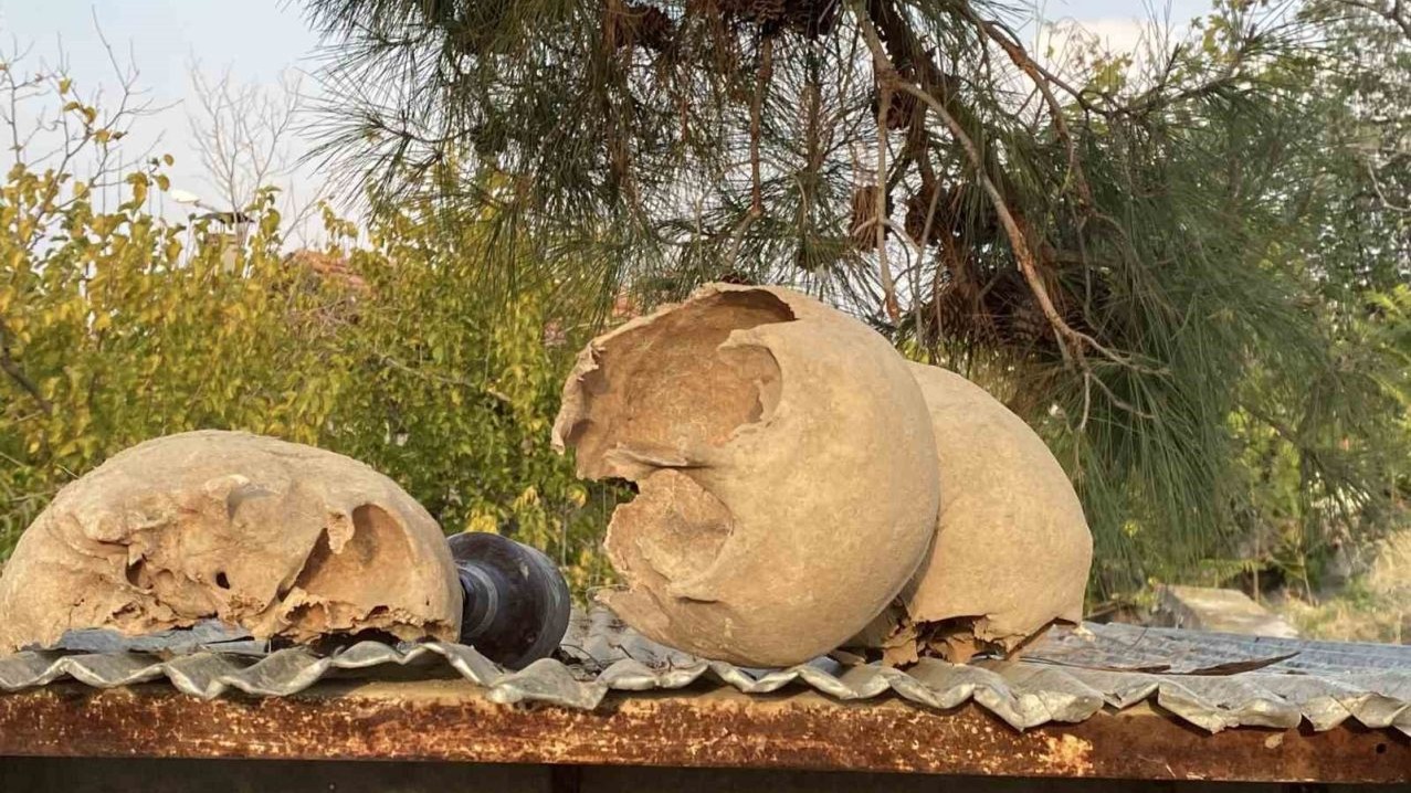Belediyenin kazı çalışması sırasında insan kemikleri bulundu