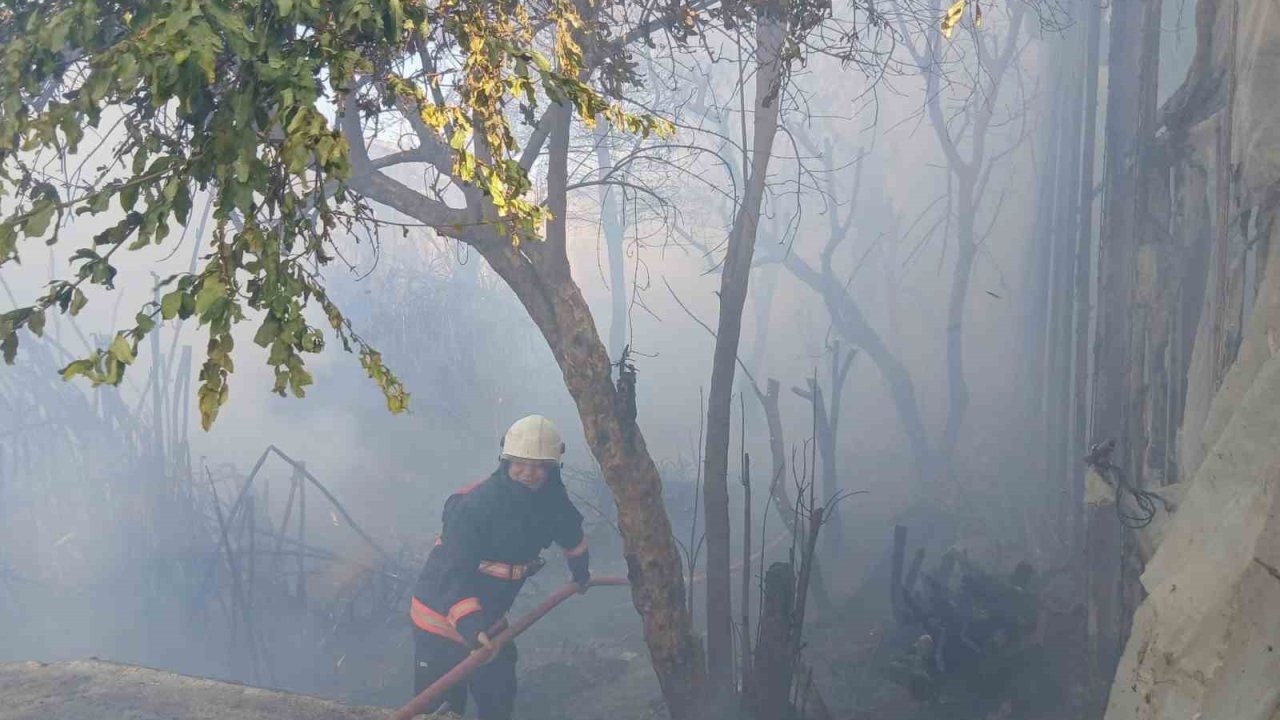 Bozyazı’da çıkan yangın seralara zarar verdi