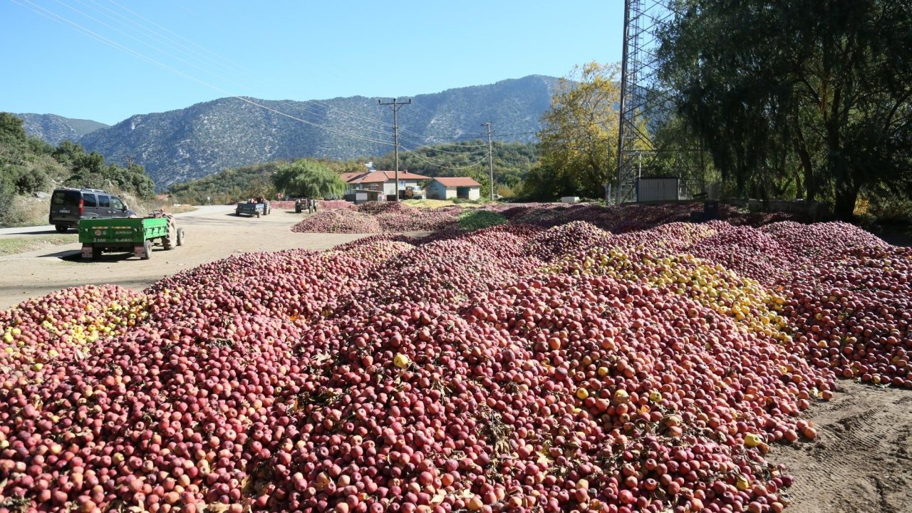Eğirdir köylerinde elma tepeleri