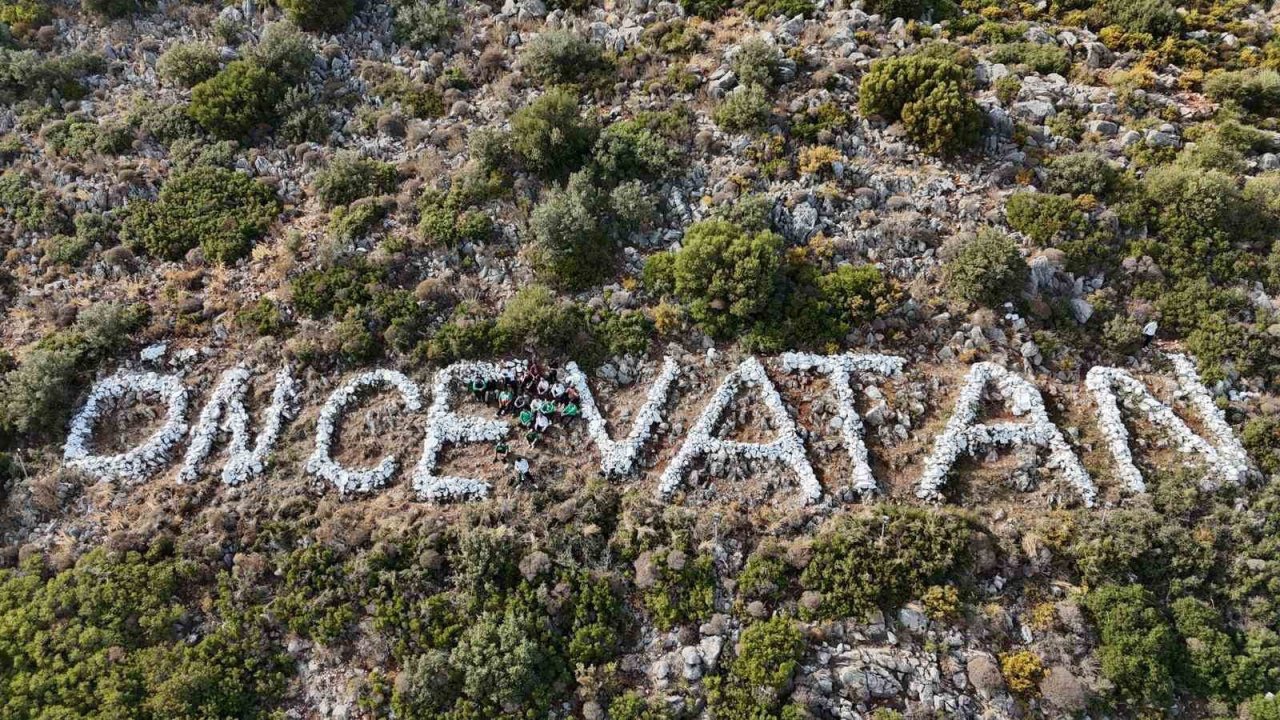 Gençler Datça’nın simgesine sahip çıktılar