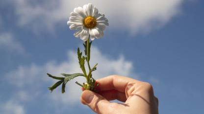 Her duygunun içinden geçerek büyümek