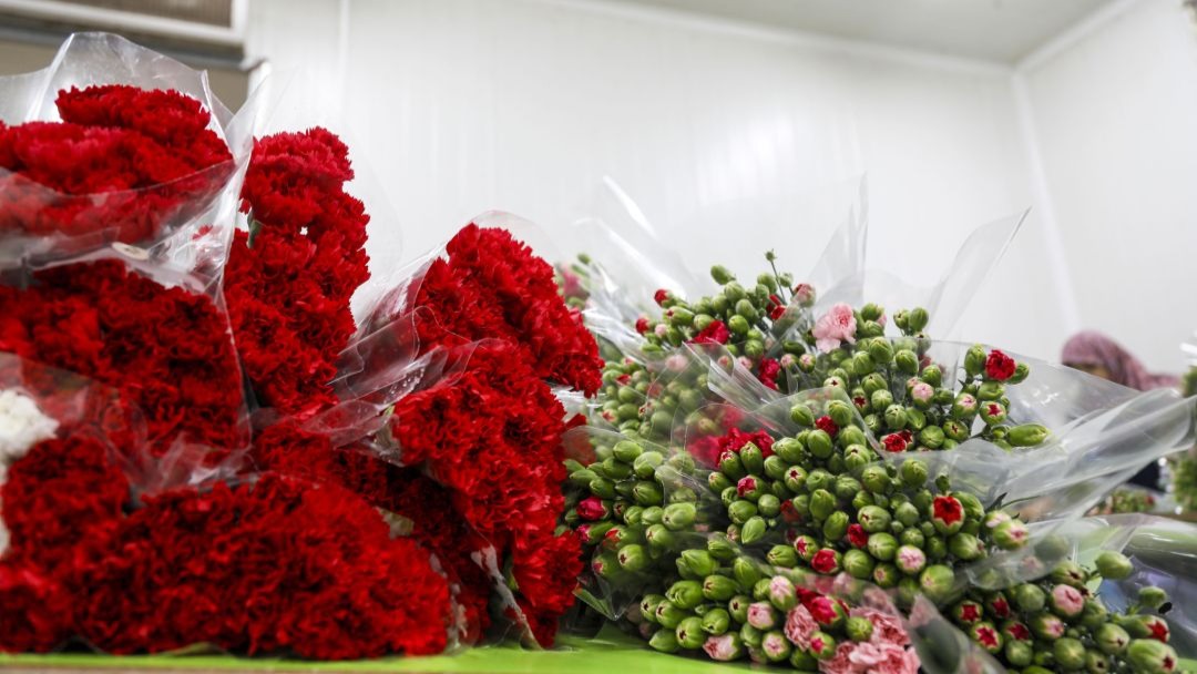 İsmail Yılmaz: “İhracatta yüzde 15 artışla tarihi rekora gidiyoruz”