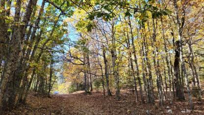 İzinsiz girenlere 557 bin TL ceza kesilecek! Antalya’dan giden ziyaretçilere uyarı