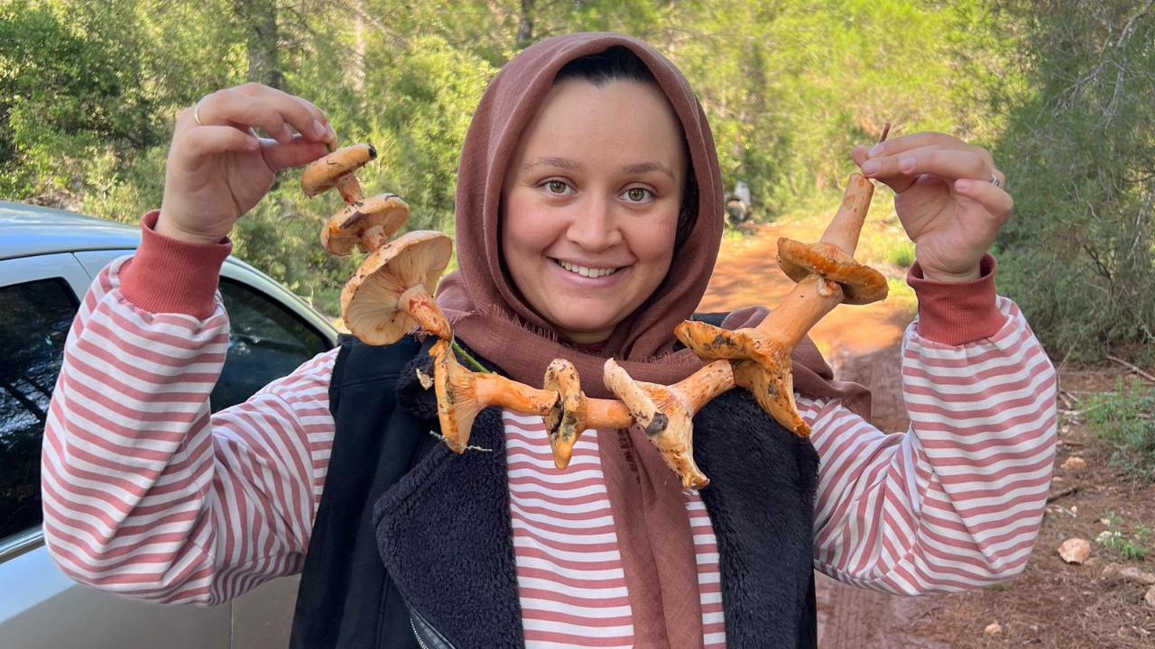 Kaş&#039;ta ormanlık alandan toplanan mantar geçim kapısı oldu