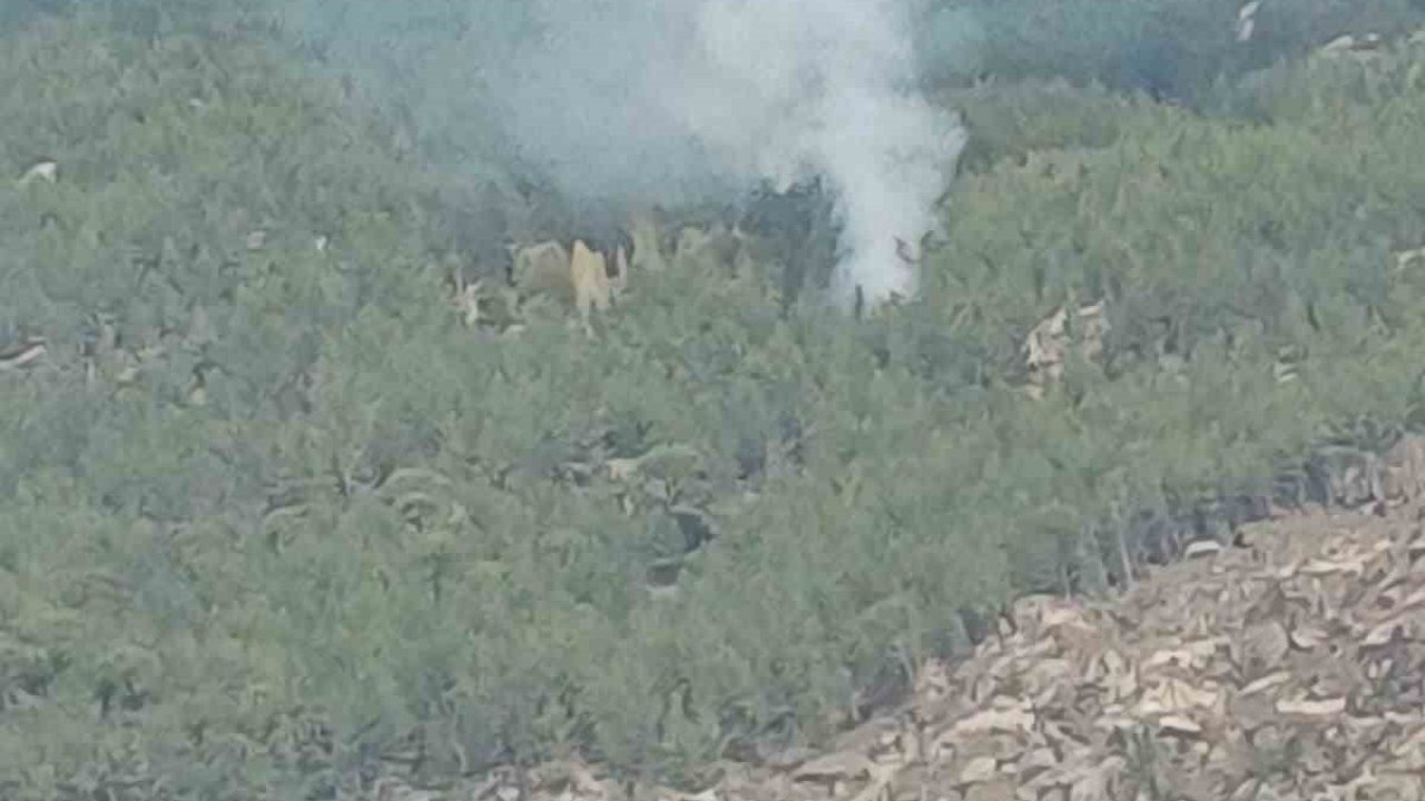 Kavaklıdere’deki orman yangını kontrol altına alındı