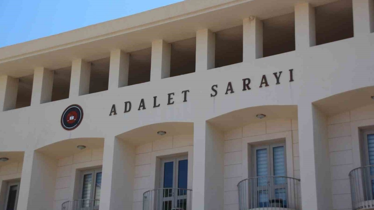 Köpekleri tüfekle vuran şahıs tutuklandı