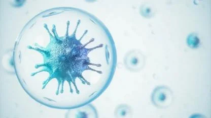 Marburg virüsü yayılıyor mu?