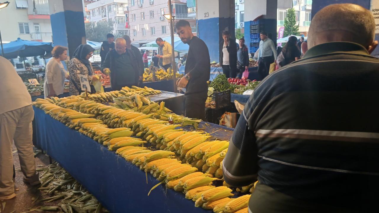 Mısır fiyatları düşüşte!