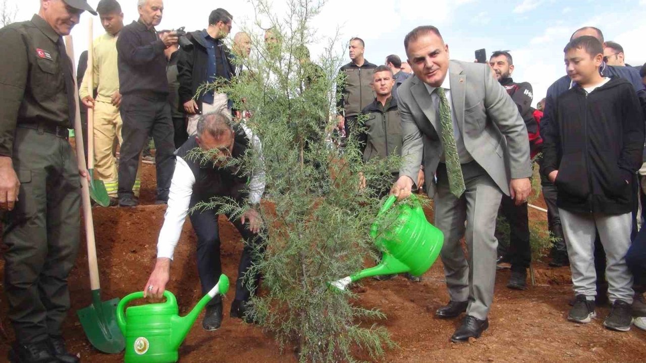 Muğla’da 33 bin fidan toprak ile buluştu