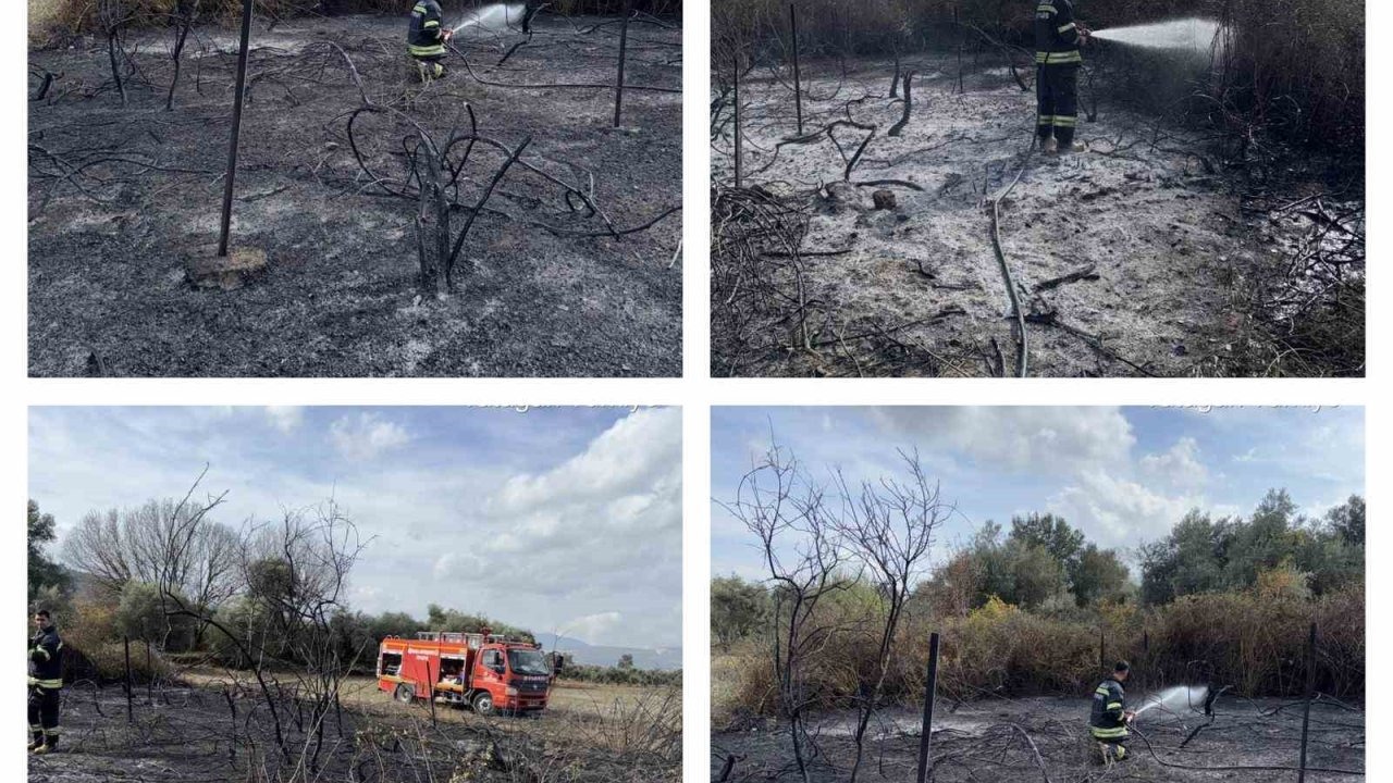 Muğla’da üzüm bağları alevlere teslim oldu