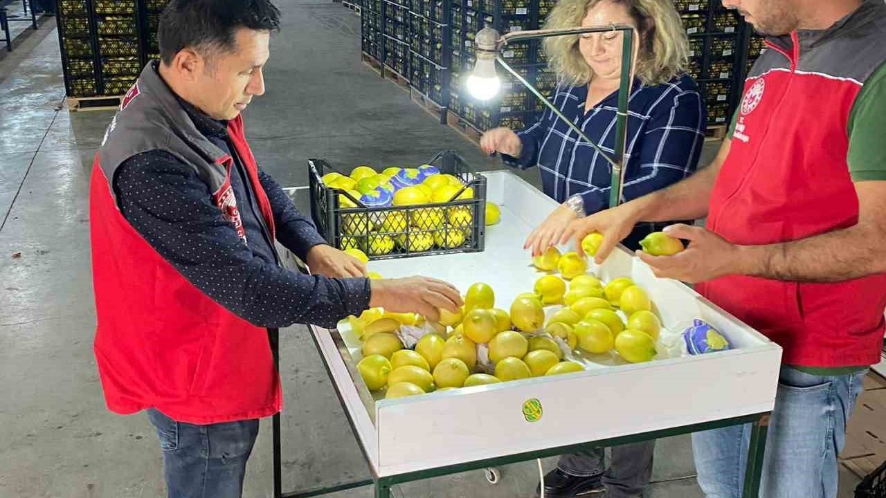 Ortaca’da ihracata giden ürünlere onay