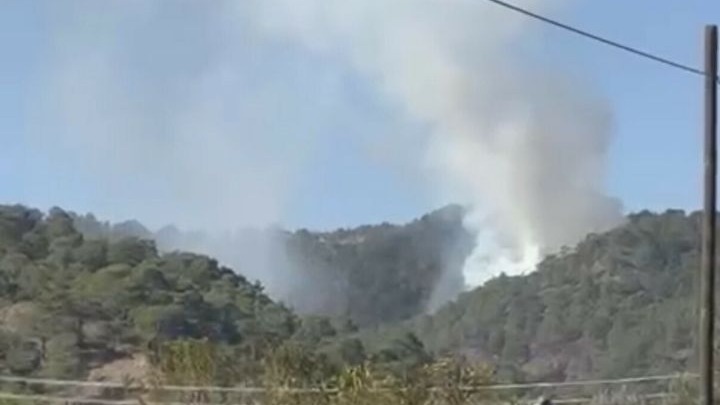 Seydikemer&#039;de orman yangını